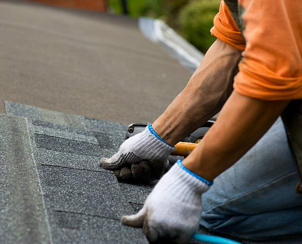 Best Flat Roof Repair Services  in Knox, PA